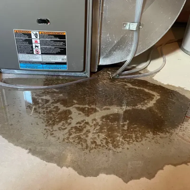 Appliance Leak Cleanup in Freeman, SD